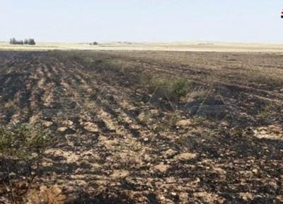 مقام سوری: آمریکایی ها مزارع گندم سوریه را آتش می زنند
